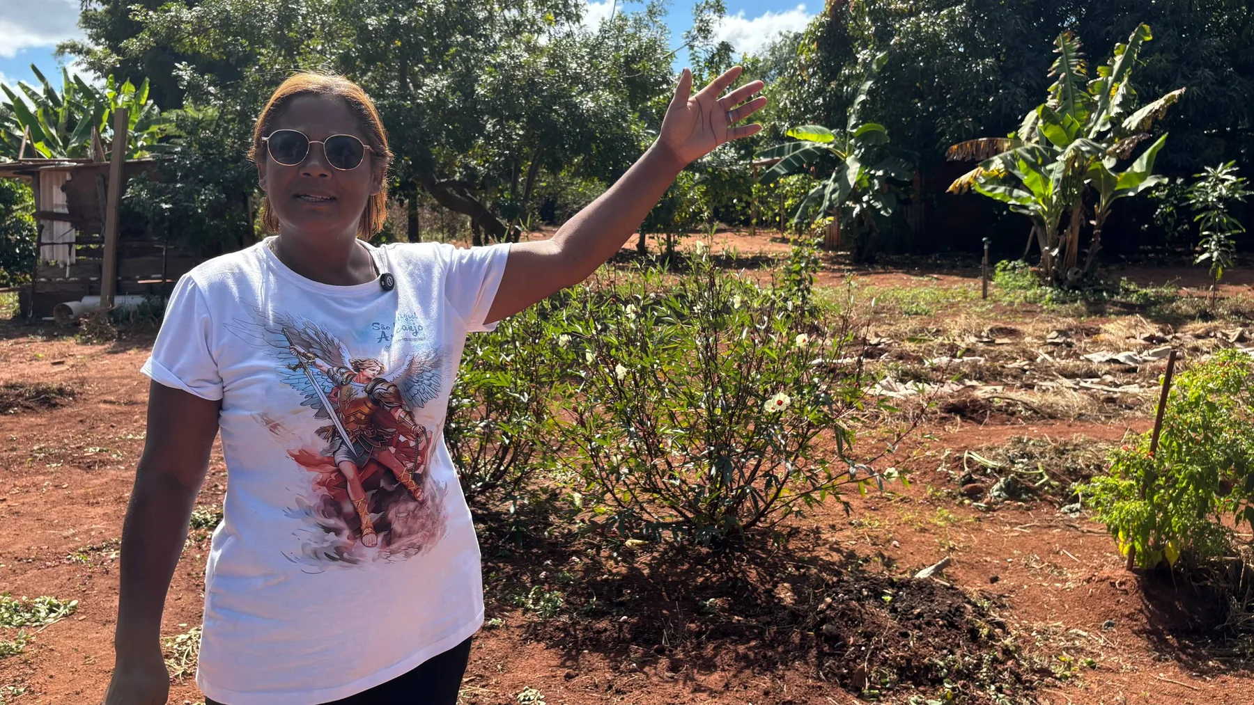 Do medo à colheita de sonhos e oportunidades — imagem 4